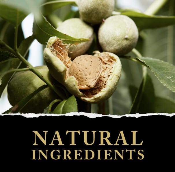 Green & Black's Natural Ingredients